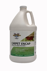 Carpet detergent, gallon, item #0329